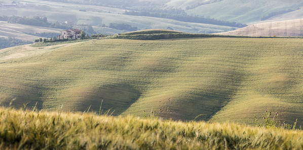 Green rolling hills and farm houses of Crete Senesi (Senese Clays) province of Siena Tuscany Italy Europe