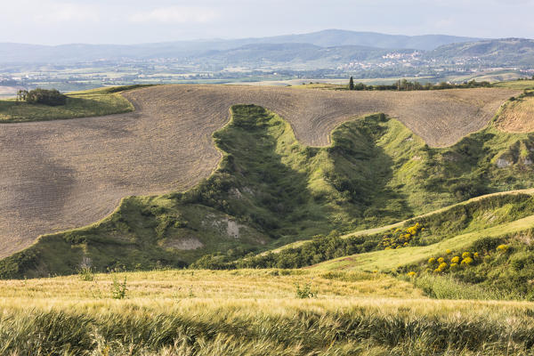 The curved shapes of the multicolored hills of the Crete Senesi (Senese Clays) province of Siena Tuscany Italy Europe