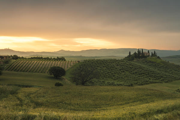 Sunrise on the gentle green hills of Val d'Orcia province of Siena Tuscany Italy Europe