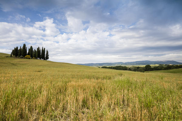 Clouds frame the gentle green hills of Val d'Orcia province of Siena Tuscany Italy Europe