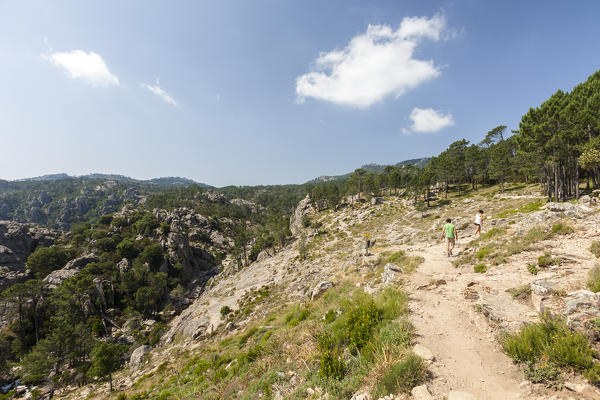 Hikers surrounded by woods in the Nature Park of the L'Ospedale mountain Piscia Di Gallo Zonza Southern Corsica France Europe