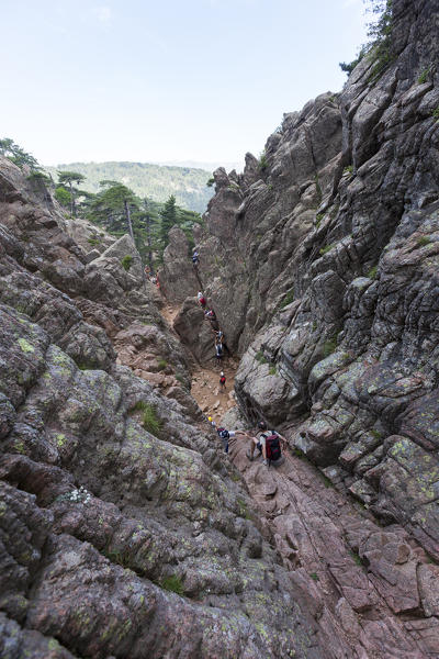 Hikers proceed in the rocky canyon Col de Bavella (Pass of Bavella) Solenzara Southern Corsica France Europe