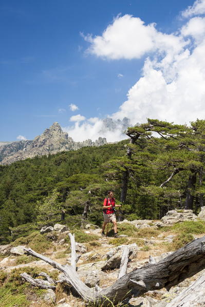 Hiker in green woods surrounded by rocky peaks Col de Bavella (Pass of Bavella) Solenzara Southern Corsica France Europe