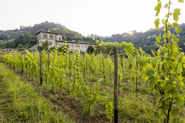 Sunrise on the ancient monastery of Astino surrounded by vineyards Longuelo, Province of Bergamo, Lombardy, Italy, Europe