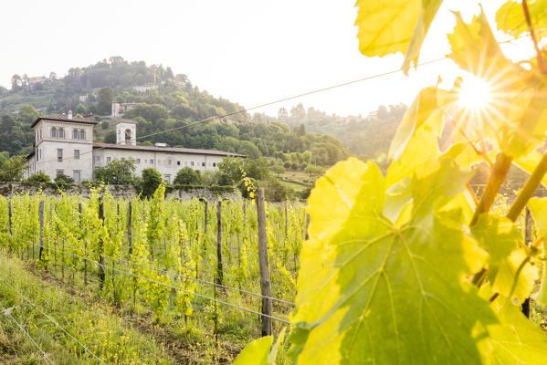 Sunrise on the ancient monastery of Astino surrounded by vineyards Longuelo, Province of Bergamo, Lombardy, Italy, Europe