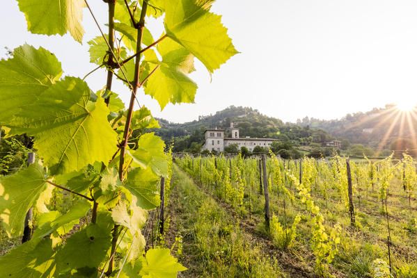 Sunrise on the ancient monastery of Astino surrounded by vineyards Longuelo, Province of Bergamo, Lombardy, Italy, Europe