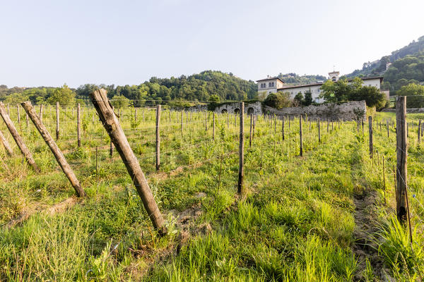 Sunrise on the ancient monastery of Astino surrounded by vineyards Longuelo, Province of Bergamo, Lombardy, Italy, Europe
