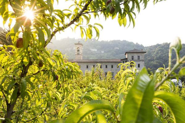 Sunrise on the ancient monastery of Astino surrounded by apple orchards Longuelo, Province of Bergamo, Lombardy, Italy, Europe