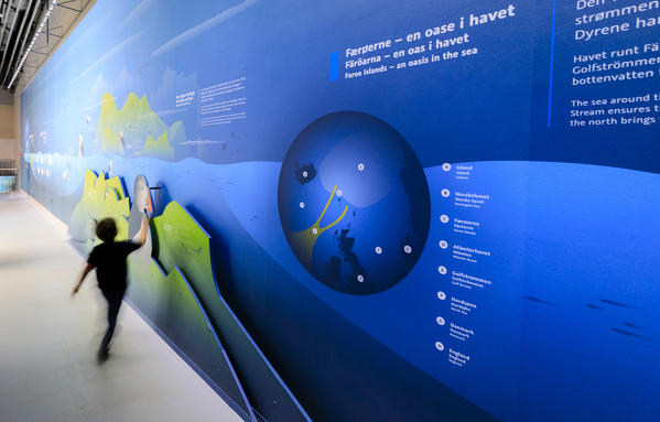 Child in the biological museum of the Aquarium of Den Bla Planet, Kastrup, Copenhagen, Denmark