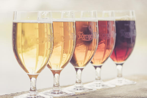 Close up of beer glasses, Foroya Bjor family brewery, Klaksvik, Bordoy Island, Faroe Islands