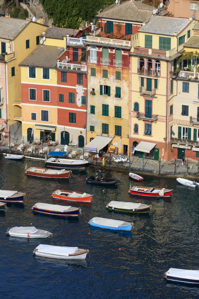 Harbor and typical colored houses, Portofino, province of Genoa, Liguria, Italy