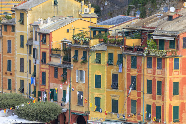 Typical architecture of colored houses, Portofino, province of Genoa, Liguria, Italy