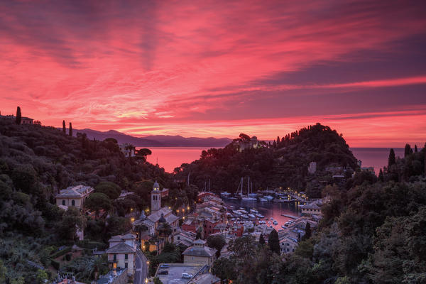 Sunrise on Portofino, province of Genoa, Liguria, Italy