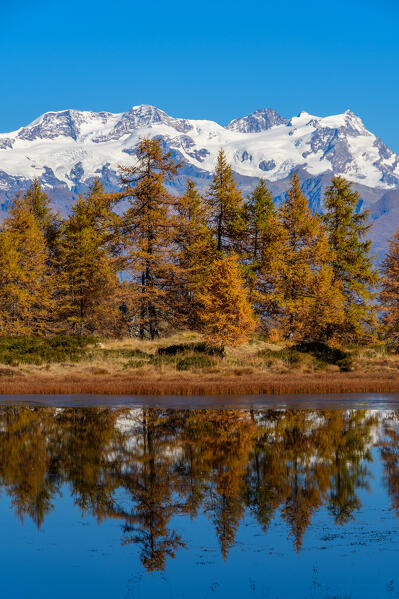 Monte Rosa in the mirror on Champas Lake,Champorcher valley on Aosta Valley, Italy, Europe