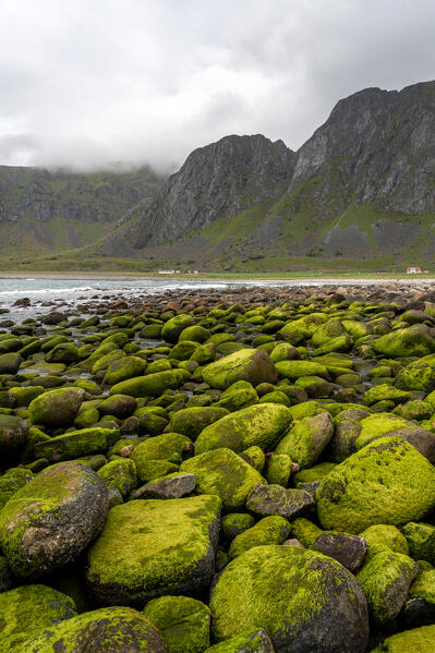 Unstad Beach,Lofoten Island, Northern Norway, Norway,Europe