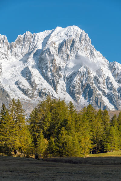 Mont Blanc (Monte Bianco) from Petosan in autumn, between San Carlo Pass and la Thuile, Aosta Valley, Italy, Europe