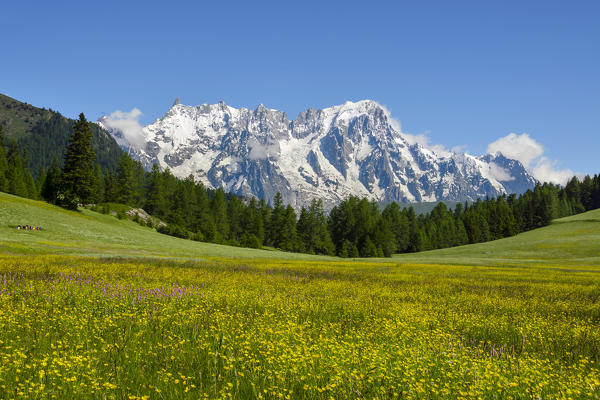 Mont Blanc (Monte Bianco) from Petosan, between San Carlo Pass and la Thuile, Aosta Valley, Italy, Europe