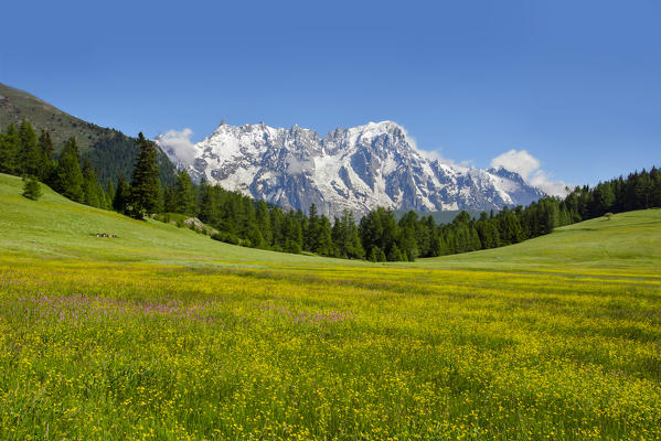 Mont Blanc (Monte Bianco) from Petosan, between San Carlo Pass and la Thuile, Aosta Valley, Italy, Europe,Europe