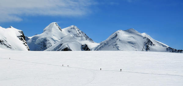 Mountaineers climbing Monte Rosa (Gobba di Rollin), Aosta Valley, Italy, Europe.