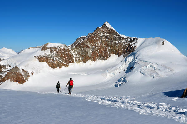 Mountaineering climbing Piramide Vincent (Monte Rosa), Aosta Valley, Europe