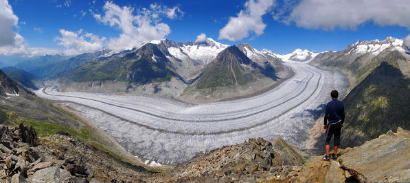 View of Aletsch Glacier(from Eggishorn), Switzerland, Europe
