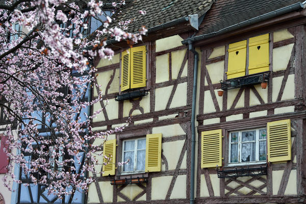 Colorful half timbered houses, Colmar, France