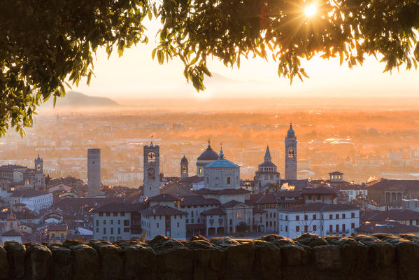 Bergamo upper town framed by plants at sunrise. Bergamo Upper Town (Città Alta), Bergamo province, Lombardy district, Italy, Europe