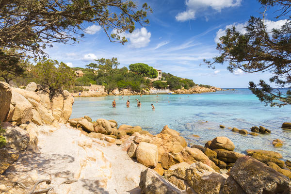 Rocks, trees and crystal turquoise water in Capriccioli beach, Arzachena Costa Smeralda, Olbia-Tempio province, Sardinia district, Italy