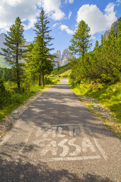 Vajolet valley and the Catinaccio group, Dolomites, Fassa valley, Val di Fassa, Pozza di Fassa, Trento Province, Trentino Alto Adige, Italy