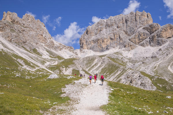 Vajolet valley and the Catinaccio group, Dolomites, Fassa valley, Val di Fassa, Pozza di Fassa, Trento Province, Trentino Alto Adige, Italy