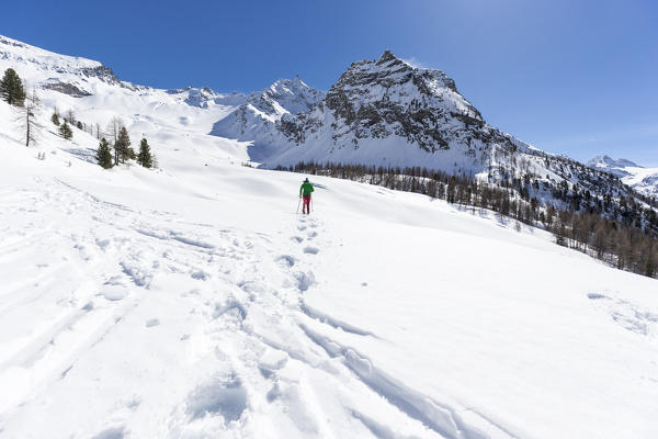 Skialper climbing the snowy slope,Rhemes Notre Dame,Aosta Valley,Italy