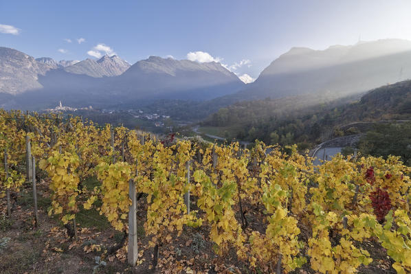 Sunset on Introd city from vineyards in autumn, Aosta Valley, Italy, Europe
