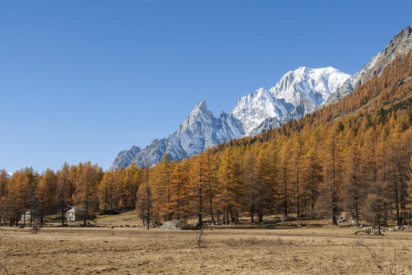 Autumn view on Mont Blanc, Val Ferret, Courmayeur, Aosta Valley, Italy