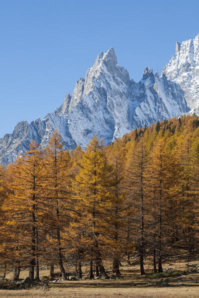 Autumn view on Aiguille Noire de Peuterey, Val Ferret, Courmayeur, Aosta Valley, Italy
