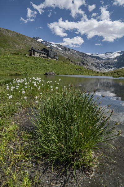 Small lake at the foot of the Bezzi refuge, Valgrisenche, Aosta Valley, Italy