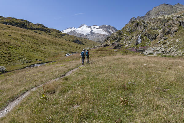 Hikers on the path leading to the Testa del Rutor, Valgrisenche, Aosta Valley, Italy