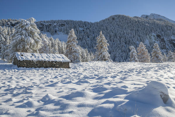 Snowy pasture, La Magdeleine, Aosta Valley, Italy
