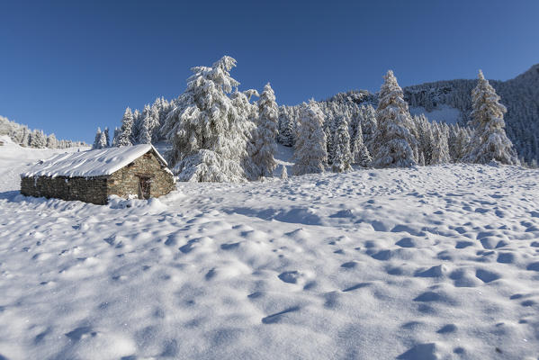 Snowy pasture, La Magdeleine, Aosta Valley, Italy