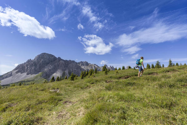 Hiker walks on the paths of the Val Sesis, Sappada, Belluno, Italy