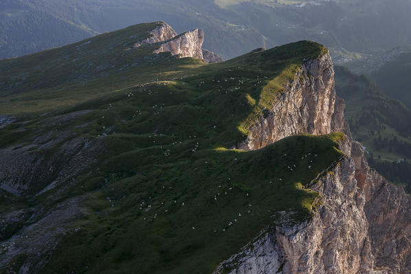 The high alpine meadow of Stevia mountain. Gherdëina, Dolomites, Bolzano province, Trentino Alto-Adige region. Italy, Europe