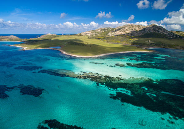 National Park of Asinara Island, Sassari province, Sardinia, Italy, Europe.