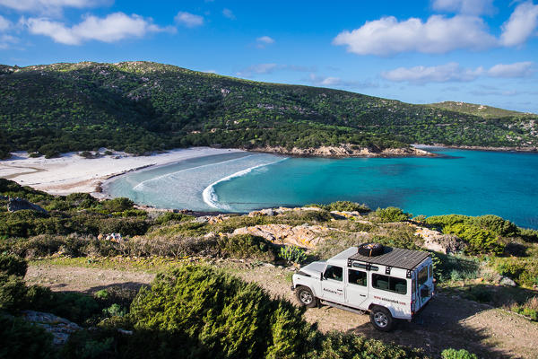 Cala D'Arena beach, National Park of Asinara Island, Sassari province, Sardinia, Italy, Europe.