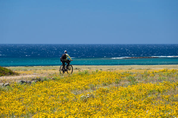 Spring in National Park of Asinara Island,Porto Torres, Sassari province, Sardinia, Italy, Europe.