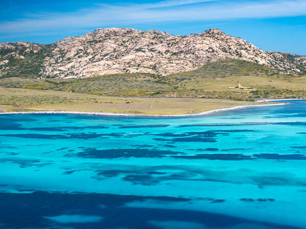 National Park of Asinara Island,Porto Torres, Sassari province, Sardinia, Italy, Europe.