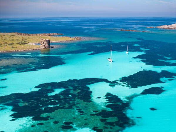 National Park of Asinara Island,Porto Torres, Sassari province, Sardinia, Italy, Europe.