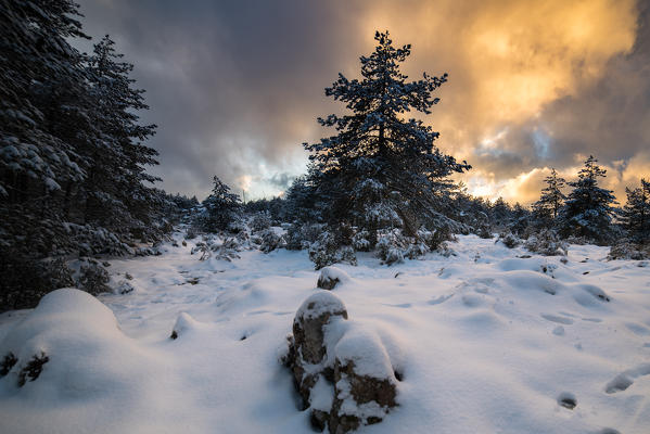Snow in Limbara Mountain, Olbia Tempio Province, sardinia, italy, europe.