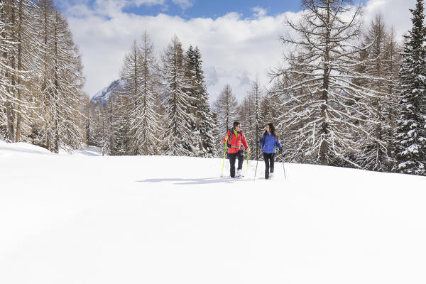 two hikers are enjoing walking with snowshoes into the fresh snow, Belluno province, Veneto, Italy