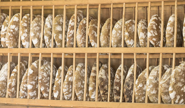 a detail of Schüttelbrot, a typical south tyrolean bread, bolzano province;italy;south tyrol;trentino alto adige