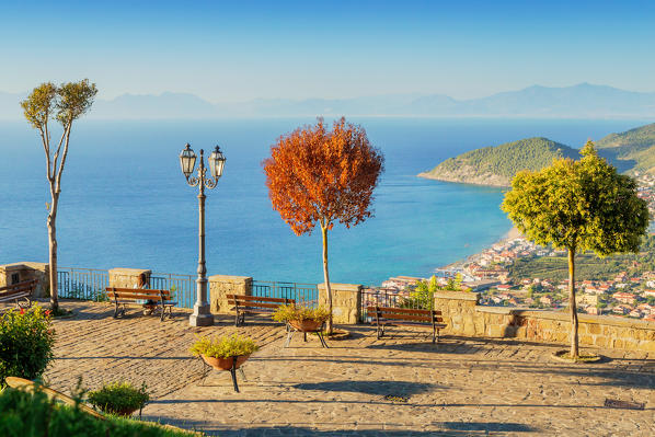 The trees of Belvedere San Costabile in Cilento, Castellabate, Salerno province, Campania region, Italy, Europe