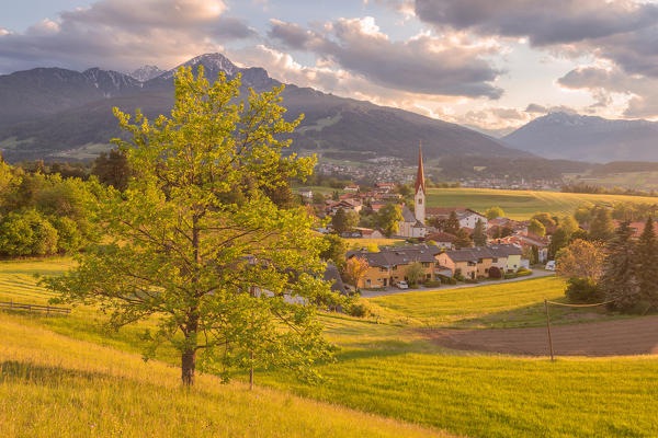 A lonely tree in the hills surrounding the little village of Vill at sunset, Innsbruck, Tyrol, Austria, Europe